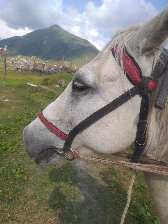 Vila Latphari In Ušguli Exteriér fotografie